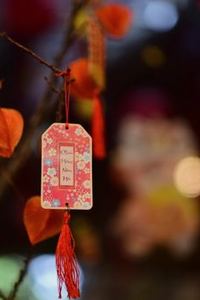 ba cây di động 8Day